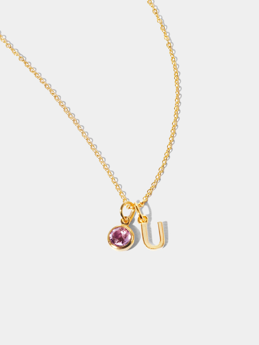 February 18k Gold Vermeil Initial & Birthstone Gemstone Charm Necklace Brazilian Amethyst
