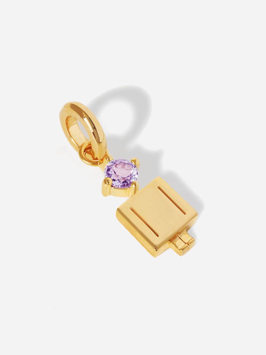 Birthstone Range Gold Dad or Man with Connector - Brazilian Amethyst Gemstone - February