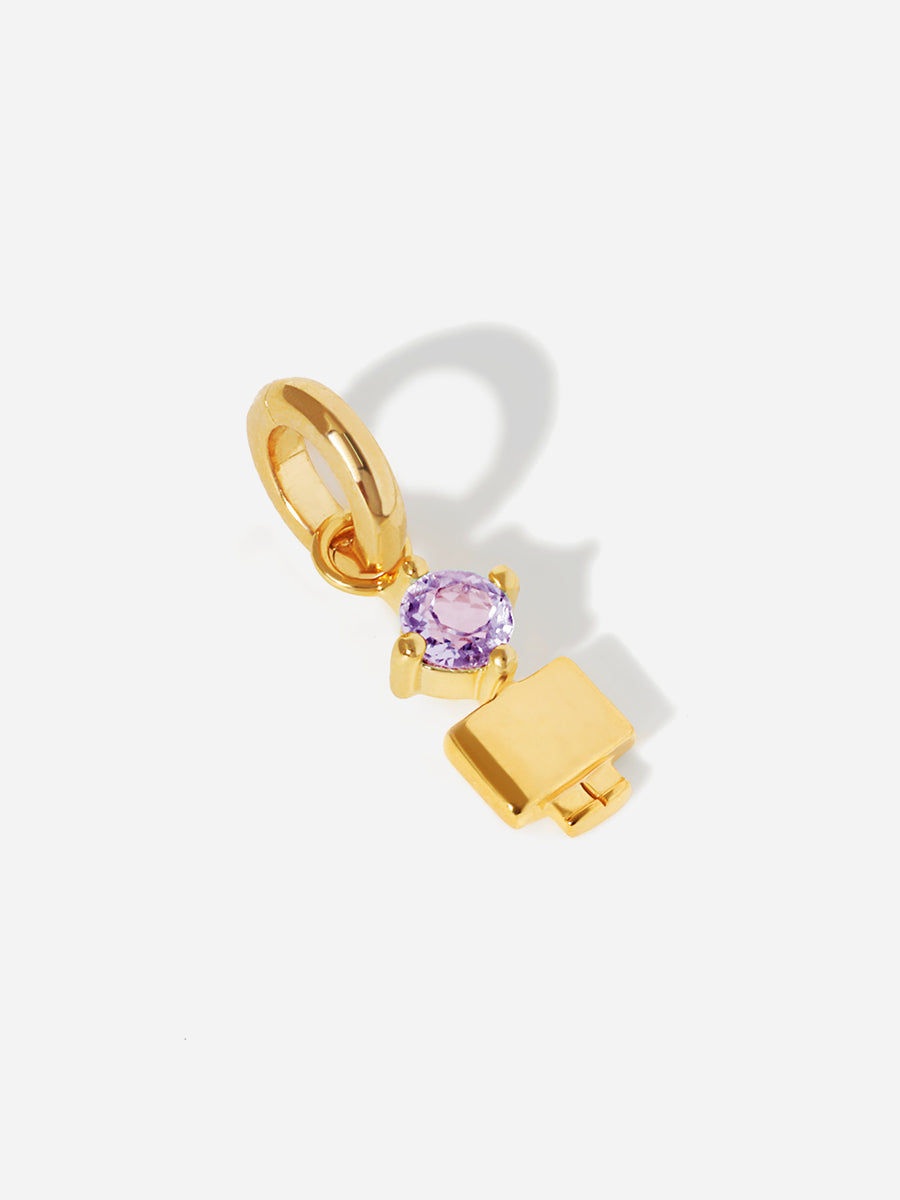 Birthstone Range Gold Son or Boy with Connector - Brazilian Amethyst Gemstone - February